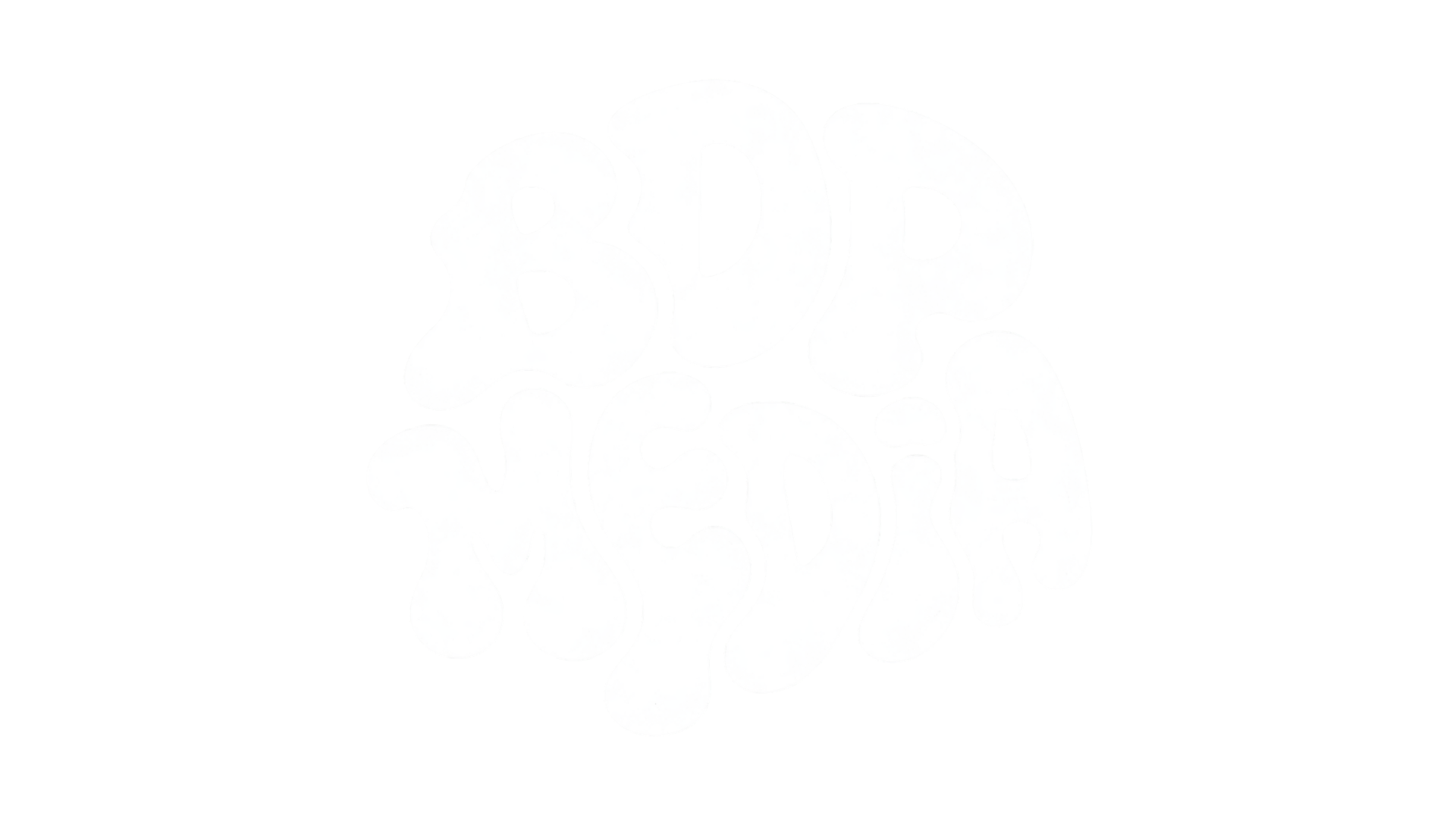 BDP Media logo